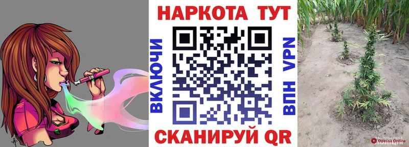 Продажа наркотиков Знаменск Бошки Шишки Мефедрон Амфетамин Метамфетамин ГАШ