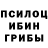 Псилоцибиновые грибы Psilocybe rus buc