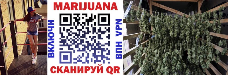 наркотики  Знаменск  Каннабис план 